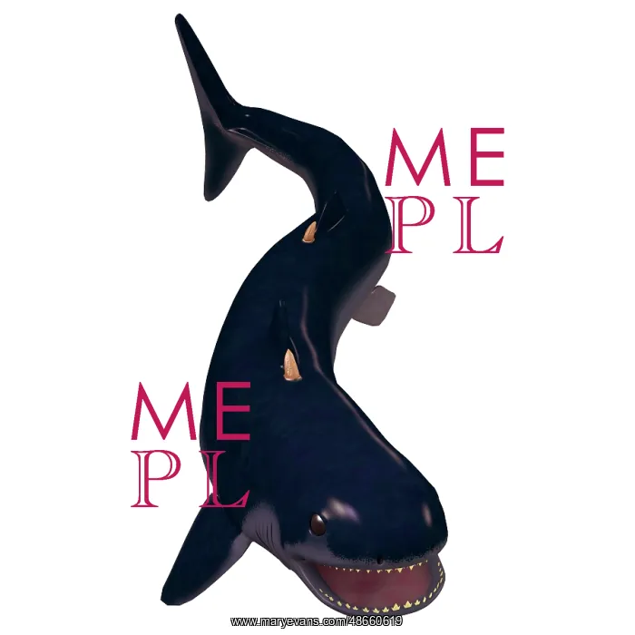 : Cladoselache shark from the Devonian period : Cladoselache shark from the Devonian period