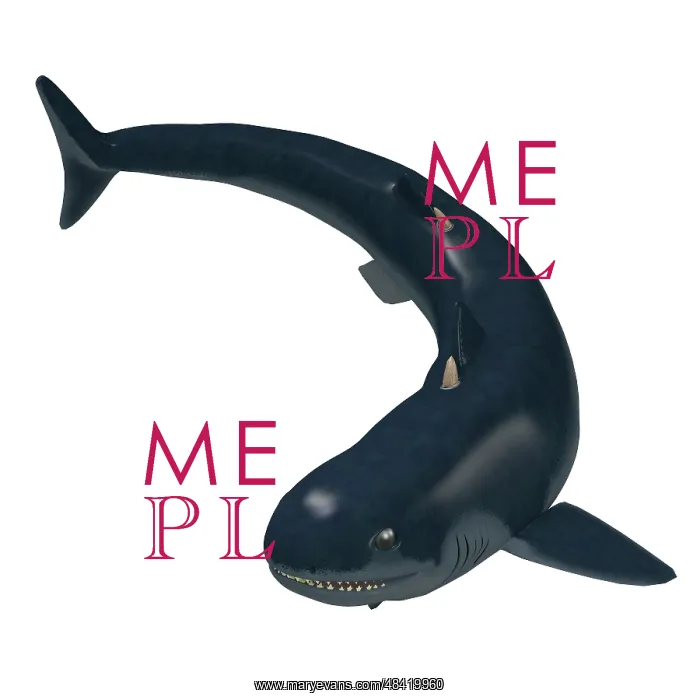 : Cladoselache shark of the Paleozoic Era : Cladoselache shark of the Paleozoic Era