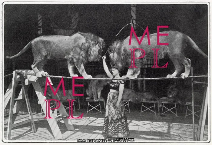 : Claire Heliot, lion tamer : Claire Heliot, lion tamer