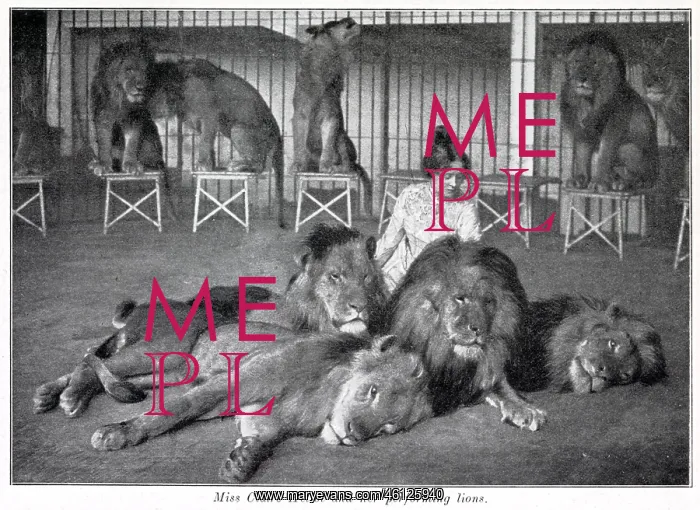: Claire Heliot and her performing lions 1903 : Claire Heliot and her performing lions 1903