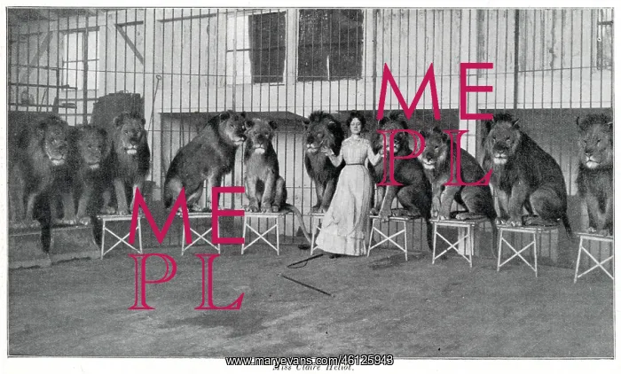 : Claire Heliot and her performing lions 1903 : Claire Heliot and her performing lions 1903