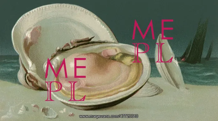  : Clam on Half Shell