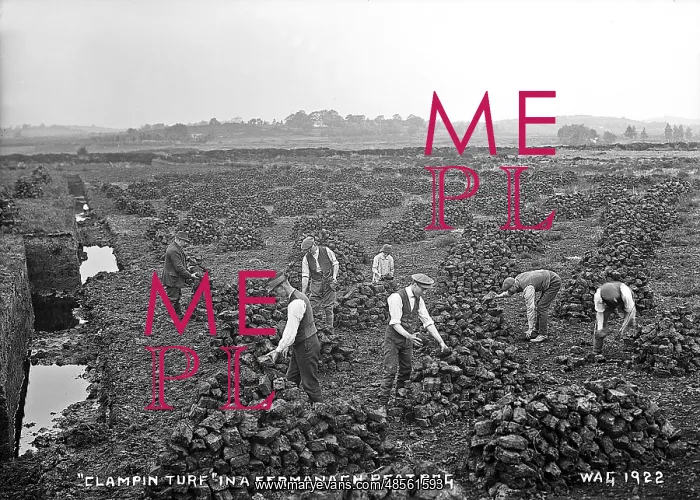 : Clamping Turf in a Fermanagh Peat Bog : Clamping Turf in a Fermanagh Peat Bog