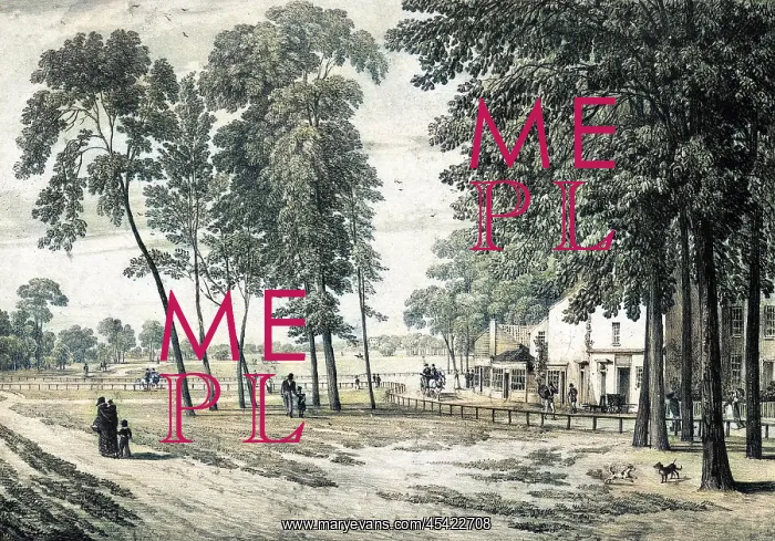  : CLAPHAM COMMON