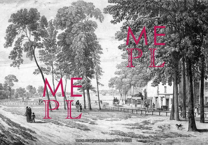  : CLAPHAM COMMON
