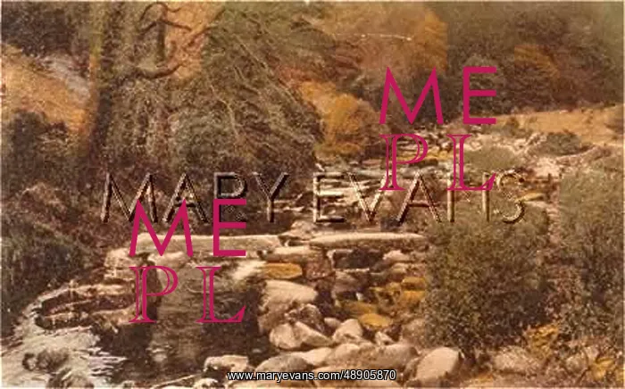 : CLAPPER BRIDGE DARTMOOR : CLAPPER BRIDGE DARTMOOR