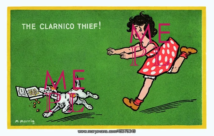 : The Clarnico Thief! : The Clarnico Thief!