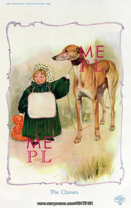 : The Classes - girl and dog : The Classes - girl and dog