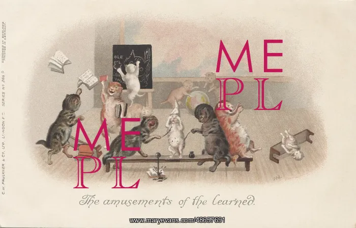 : Classroom Cats : Classroom Cats