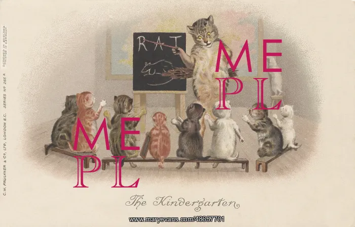 : Classroom Cats : Classroom Cats