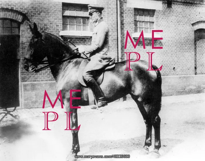 : Claus Schenk von Stauffenberg, 1934 : Claus Schenk von Stauffenberg, 1934