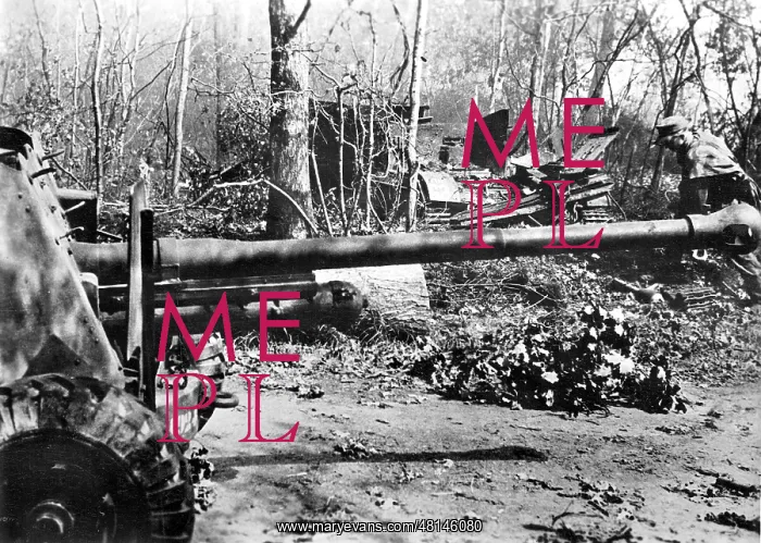 : Clean up of the forest of Bavent by German soldiers, 1944 : Clean up of the forest of Bavent by German soldiers, 1944