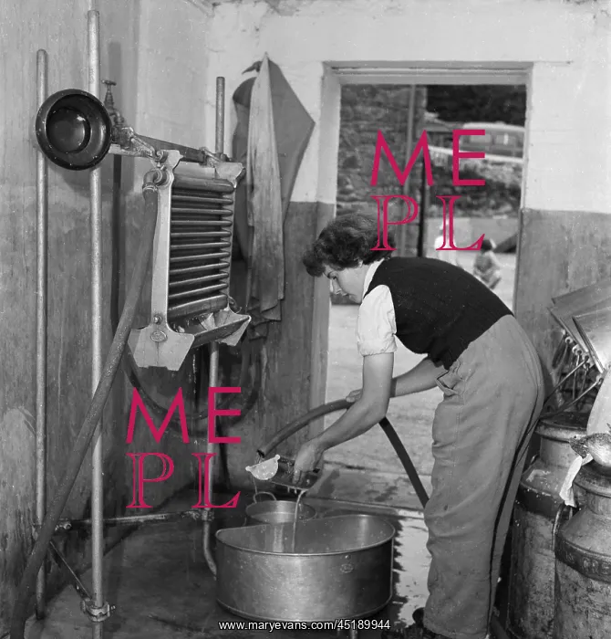 : Cleaning milk equipment : Cleaning milk equipment