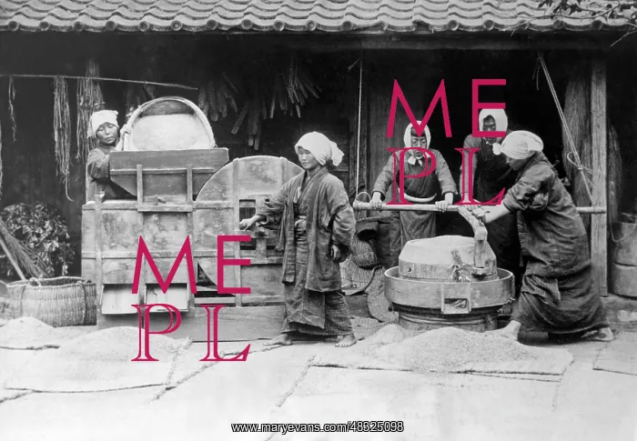 : Cleaning rice grains in Japan, 1930s : Cleaning rice grains in Japan, 1930s