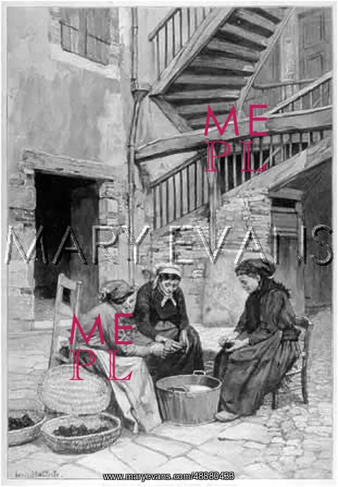 : CLEANING TRUFFLES 1893 : CLEANING TRUFFLES 1893