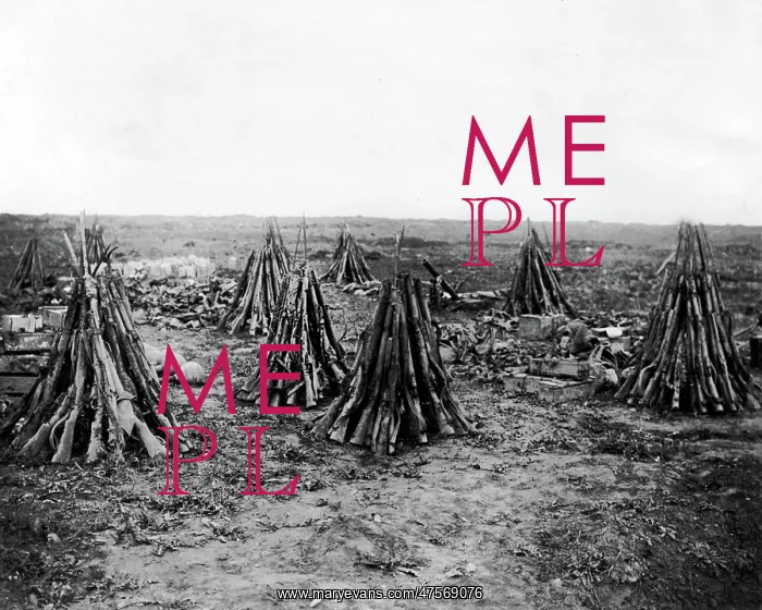 : Clearing up a battlefield after an advance, WW1 : Clearing up a battlefield after an advance, WW1