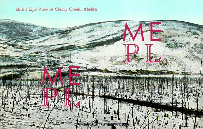 : Cleary Creek, Alaska, USA : Cleary Creek, Alaska, USA