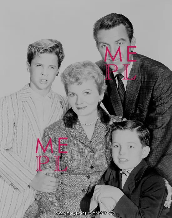 : Cleaver family of the LEAVE IT TO BEAVER ? : Cleaver family of the LEAVE IT TO BEAVER ?