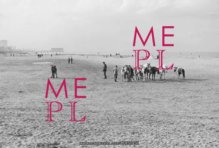 : CLEETHORPES BEACH