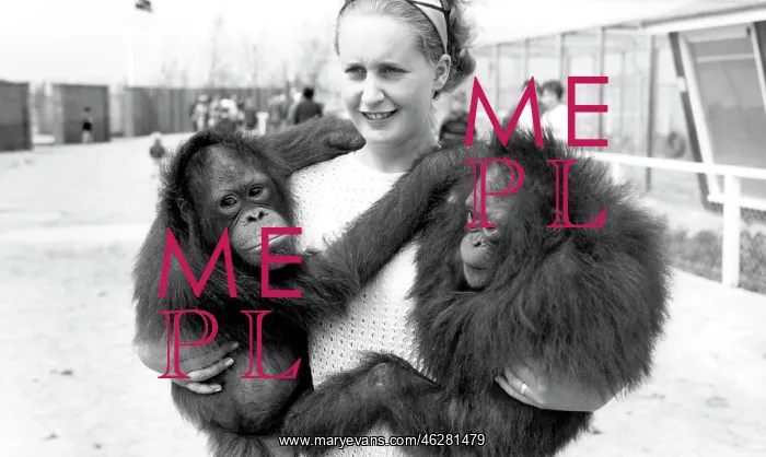  : Cleethorpes Zoo, Orangutan c1960
