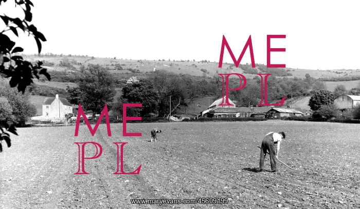  : Cleeve Hill, c1960