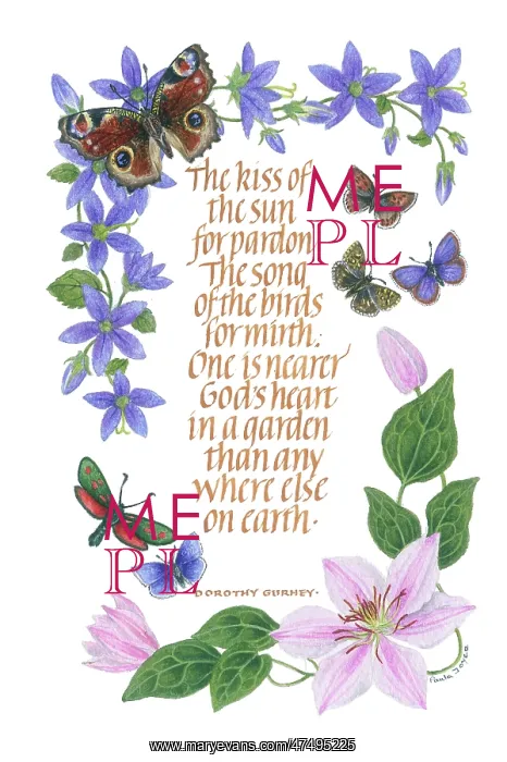  : Clematis and Butterflies with Verse