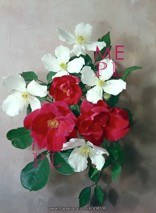  : Clematis and Red Roses