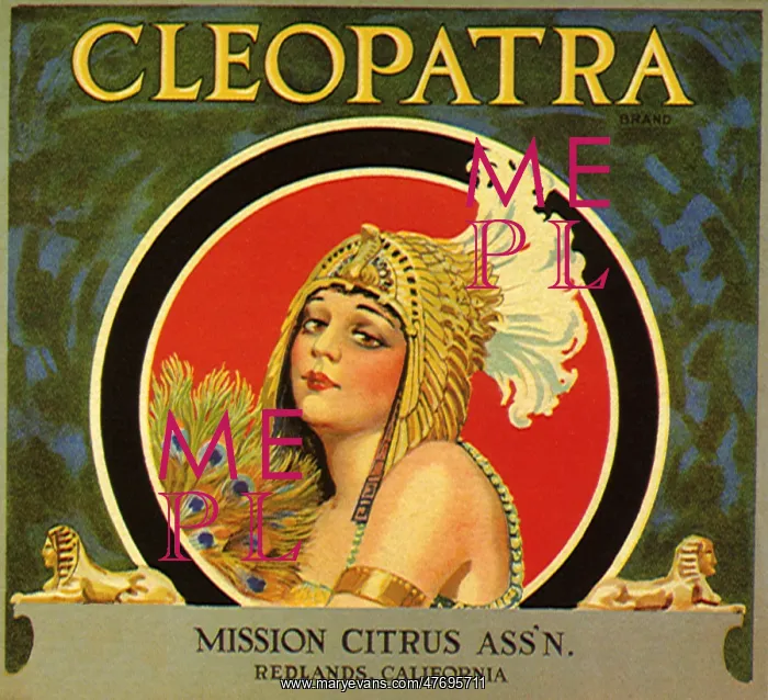 : Cleopatra : Cleopatra
