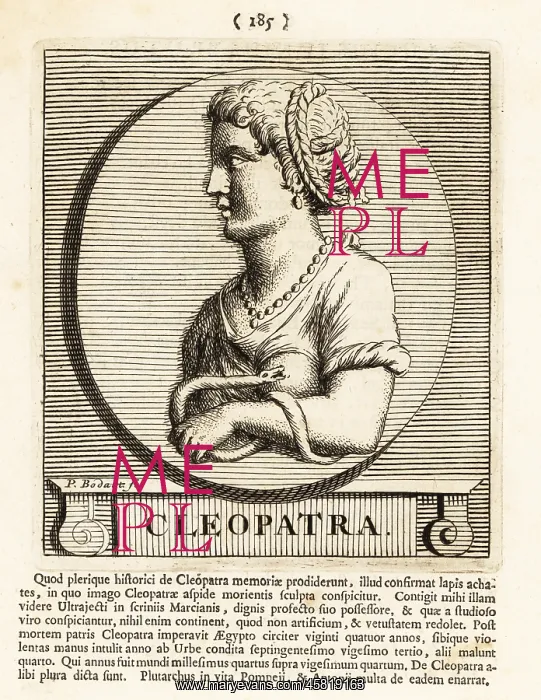 : Cleopatra with asp at her breast : Cleopatra with asp at her breast