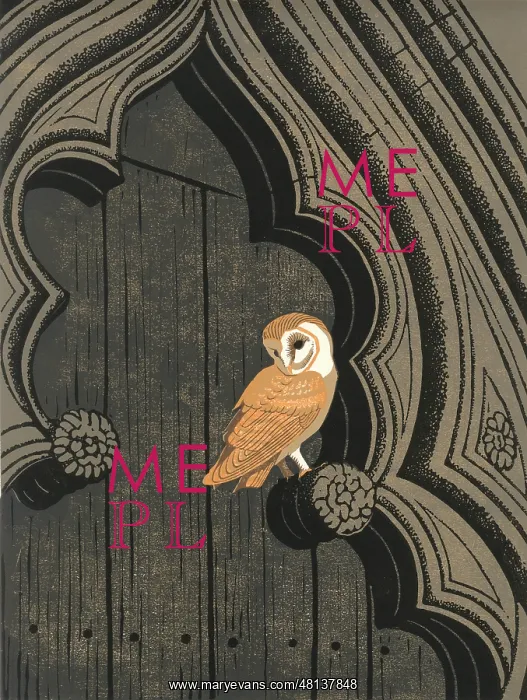 : The Cley Church Owl - Barn Owl : The Cley Church Owl - Barn Owl