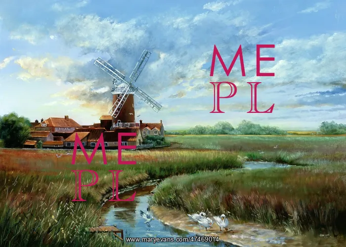 : Cley Mill ??windmill with river and swans : Cley Mill ??windmill with river and swans