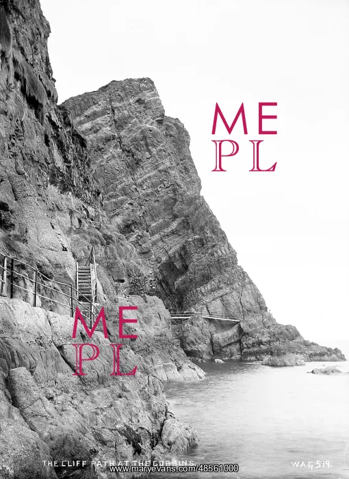 : Cliff Path at the Gobbins : Cliff Path at the Gobbins