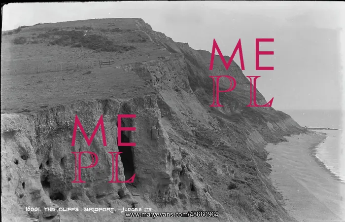 : The Cliffs of Bridport : The Cliffs of Bridport