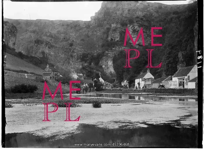 : The Cliffs, Cheddar, Sedgemoor, Somerset : The Cliffs, Cheddar, Sedgemoor, Somerset