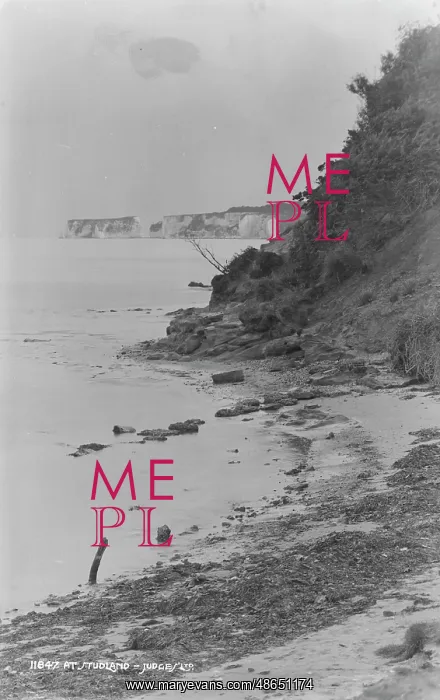 : Cliffs at Studland Bay : Cliffs at Studland Bay