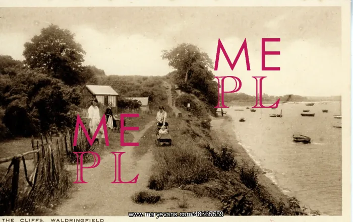 : The Cliffs, Waldringfield, Suffolk : The Cliffs, Waldringfield, Suffolk