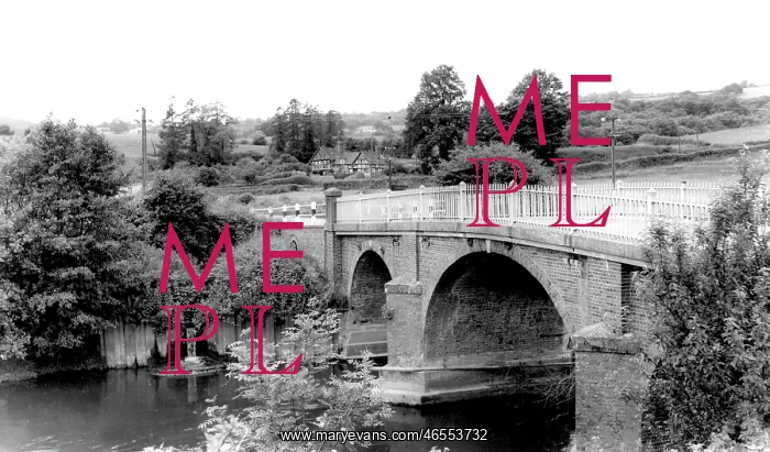  : Clifton Upon Teme, Ham Bridge, River Teme c1965
