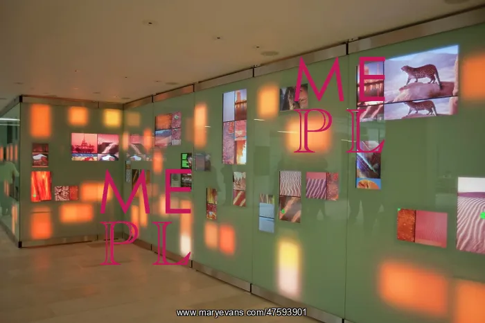 : Climate Change Wall : Climate Change Wall