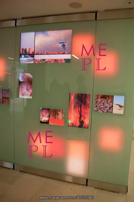 : Climate Change Wall : Climate Change Wall