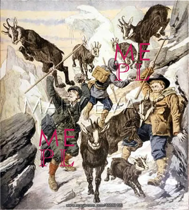 : CLIMBERS AND CHAMOIS : CLIMBERS AND CHAMOIS