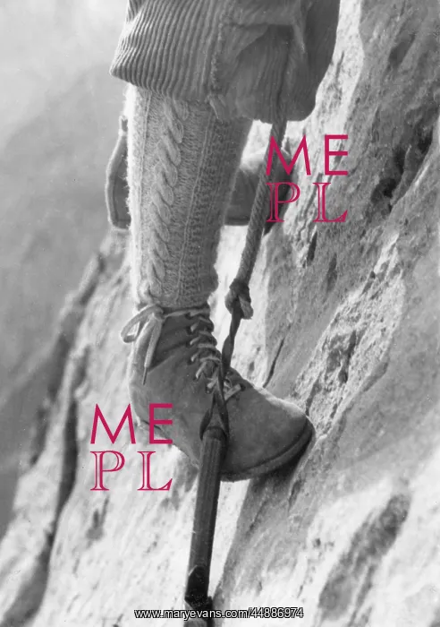 : CLIMBING FOOTHOLD : CLIMBING FOOTHOLD