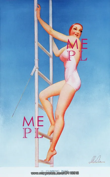 : Climbing rose by Merlin Enabnit : Climbing rose by Merlin Enabnit