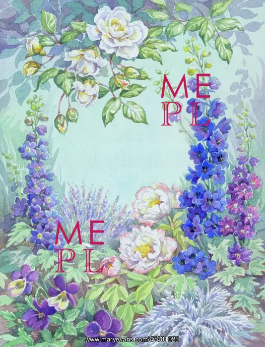 : Cllimbing Rose, Delphiniums, Lavender, Paeonies : Cllimbing Rose, Delphiniums, Lavender, Paeonies