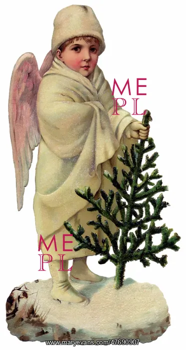  : Cloaked Angel and Pine