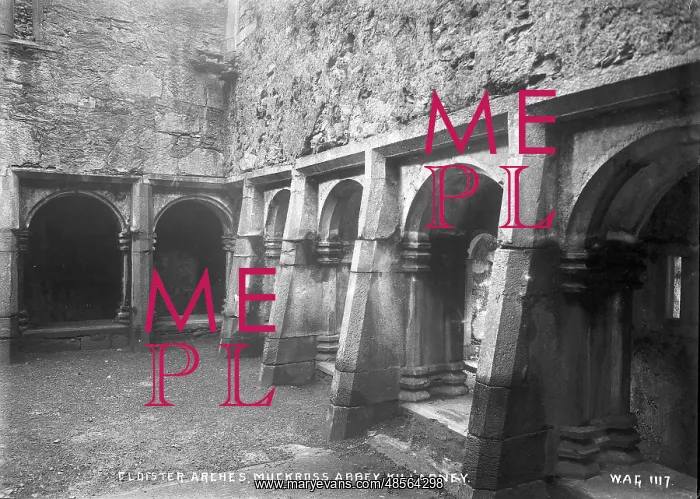 : Cloister Arches, Muckross Abbey, Killarney : Cloister Arches, Muckross Abbey, Killarney