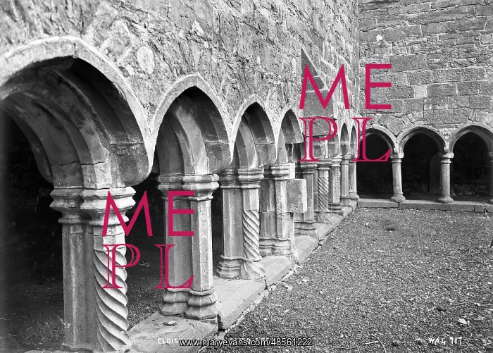 : Cloister Arches, Sligo Abbey : Cloister Arches, Sligo Abbey