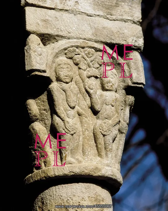 : Cloister of the convent of Sant Domenec. 12th : Cloister of the convent of Sant Domenec. 12th