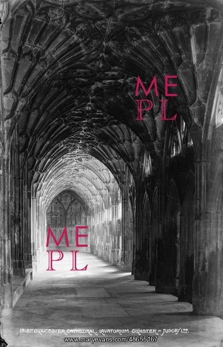 : Cloister of Gloucester Cathedral : Cloister of Gloucester Cathedral