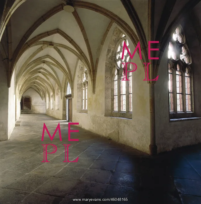: Cloister in Vyssi Brod : Cloister in Vyssi Brod