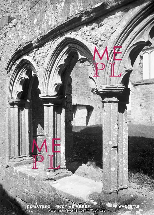: Cloisters, Bective Abbey : Cloisters, Bective Abbey